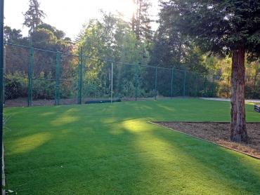 Artificial Grass Photos: Artificial Pet Grass Pedley California Landscape, Lawns